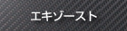 tm-sq エキゾースト