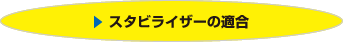 スタビライザーの適合