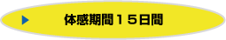 体感期間１５日間