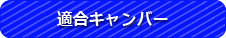 適合キャンバー
